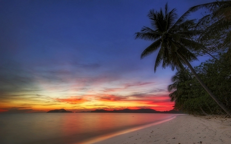 Sunset - beauty, beach, sky, trees, peaceful, paradise, colorful, sunset, clouds, sand, ocean, tropical, lovely, exotic, nature, beautiful, splendor, colors, sea