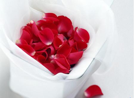 Rose petals - white, red, box, rose, petals