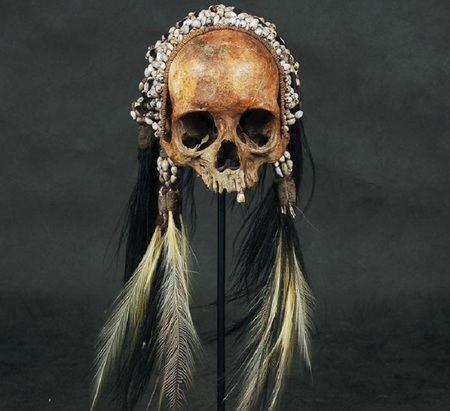 Asmat Trophy Skull - skull, asmat tribe, feathers, papua, people, shells, trophy