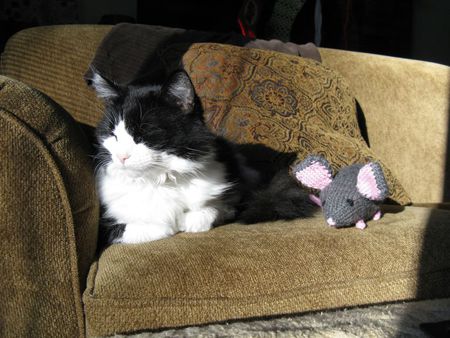 pussy with toy - toy, mouse, pussy, cat