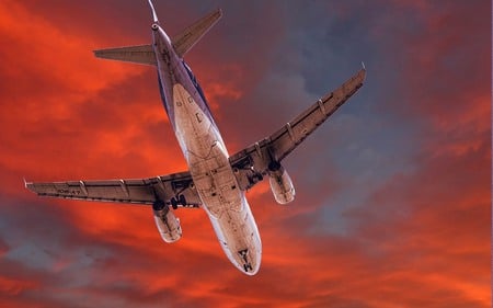 crossing-the-november-sky - beauty, sky, airplane, clouds, aircraft, air, flight, orange, plane