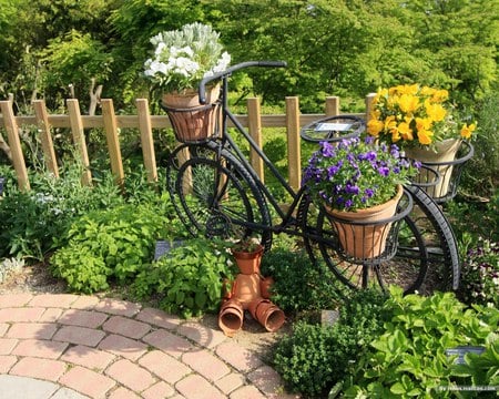 Bicycle Flower Basket - greens, flowers, flower boxes, beautiful, bicycle, fence, japanese garden