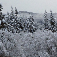 Chuckanut Ridge