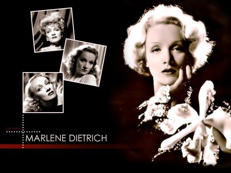 Marlene Dietrich - actress, female, pretty woman, old, nice pic