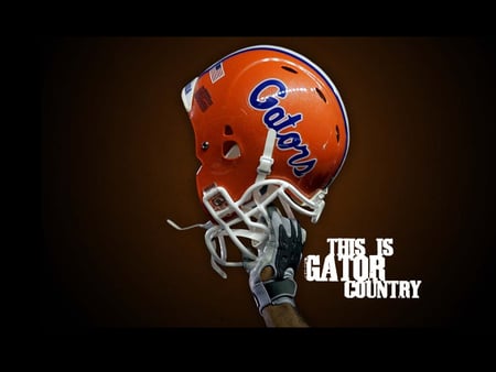 FL  - helment, orange, gators, blue