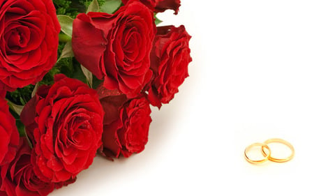 Eternal love - love, jewelry, roses, rings, valentine, dew, gold, romantic, red, beautiful, flowers