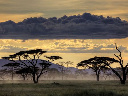 Tanzanian Sunset - clouds, tanzania, trees, sunset, africa