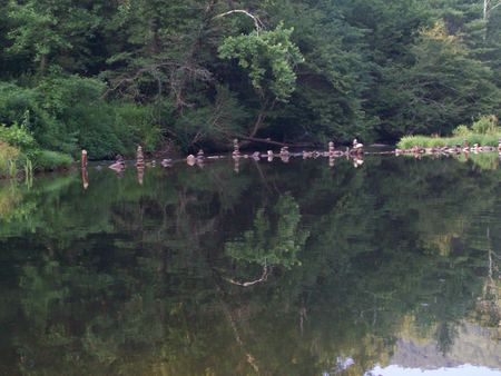 still waters - water, peaceful, nature, beautiful