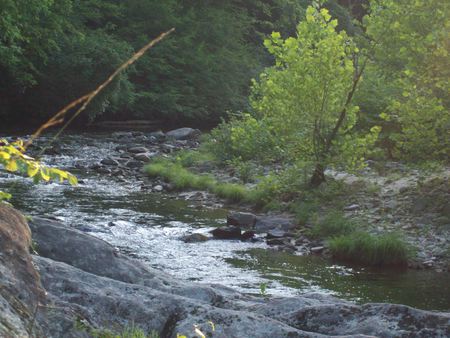 river flows - trees, rocks, beautiful, river