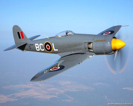 Hawker Sea Fury - hawker, fighter, fury, war, sea, raf