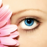 Blue eye and flower