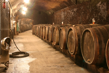 Old Cask Cellar - cellar, brown, casks, old, lights