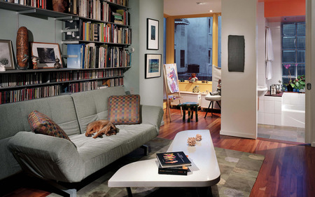 Cosy and Modern - couch, room, table, books, architecture, comfortable, cat, colours, modern, bookcase, living room, cosy