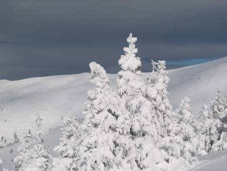 Winter Old Mountain - Stara Planina BG 2 - winter, nature, mountain, snow