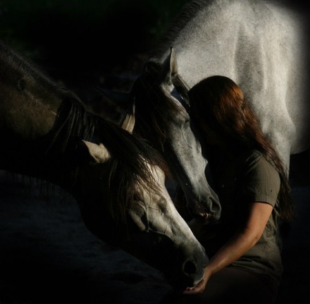 Beautiful Frienship - horses, spanish, girl, andalusians, friends, frienship