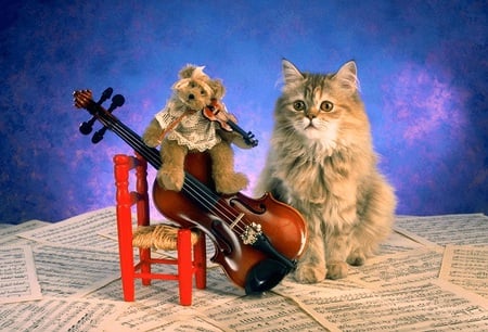 play it again - cute, adorable, musical, lovely, sweet, wild, charming