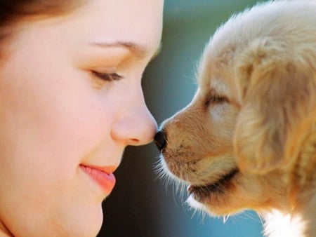 Friends - face, girl, puppy, dog, friends, smile, friendship