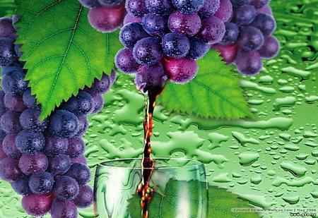 New wine - grapes, vine, purple, dew, green, wine glass, liquid, leaves