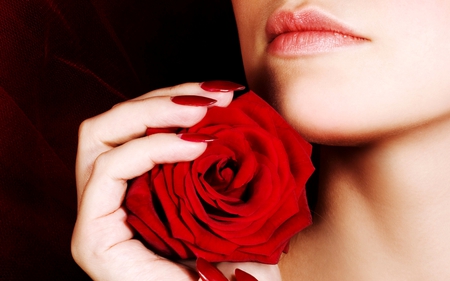 BEAUTY AND THE  ROSE - woman, holding, soft, red, rose, beauty, tender