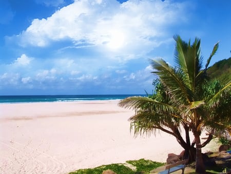 Kirra Beach - blue sky, sea, beach, palm tree