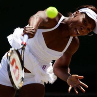 Venus Williams in Action