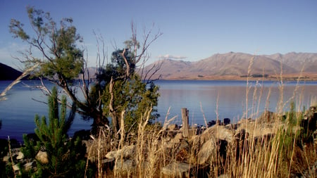 Another lake - lake, mountain, tree, new zealand