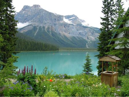 Lake - lake, trees, nature, mountain