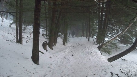 Hiking Goose Pond - goose pond, new hampshire, sunset, keene