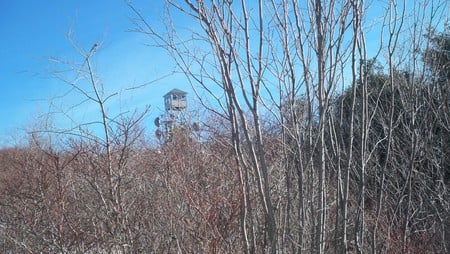 Pitcher Fire Tower - pitcher mountain, nh, new hampshire, stoddard, hiking, view