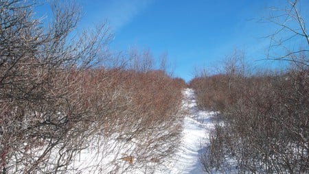 Winter Hiking Pitcher Mountain - hiking, nh, pitcher mountain, stoddard, view, new hampshire