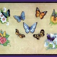 BUTTERFLIES & FLOWERS