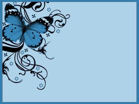 PALE BLUE - design, butterfly, black, blue