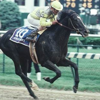 To The Finish Line-Sunday Silence