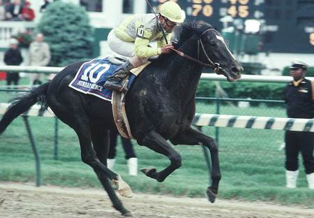 To The Finish Line-Sunday Silence - racing, horse, equine, black, sunday silence