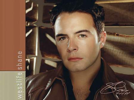 shane - shane, westlife, more for westlife com, model