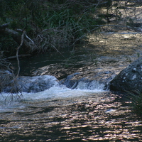 cedar creek falls Qld