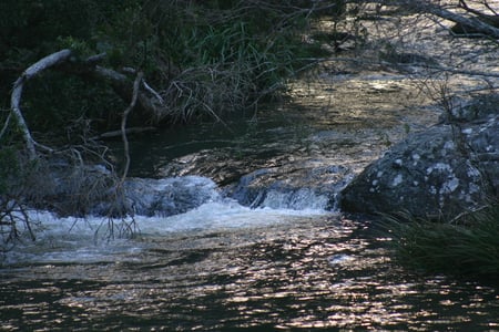 cedar creek falls Qld - crystal clear, water fall, pretty, cool