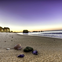 SHELLS ON THE BEACH