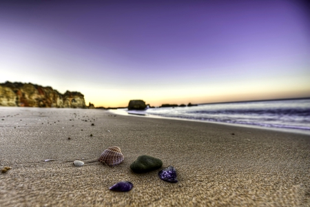 SHELLS ON THE BEACH - wallpaper, water, photos, beach, stones, sand, beaches, landscapes, shells