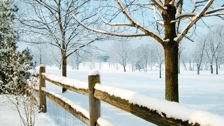 winter  glisten o'er countryside - trees, winter, snow, countryscene, fence