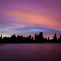Golden Hudson Rise