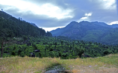 Munnar God'd own Country - clouds, forests, nature, beautiful, green, mountains