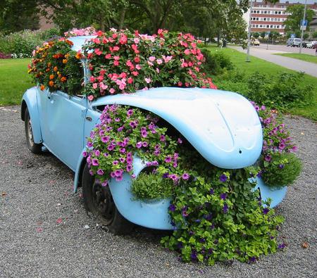 garden - flowers, car, modern, garden