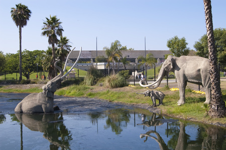 Tar Pits - pit, elephant, modern, tar