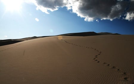 Steps to the Sun - sky, footprints, nature, cloud, dune, blue, beautiful, sand, deserts