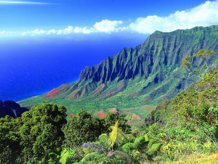 the_kalalau_valley_kauai_hawaii - hawai, field, mountain, tree, sky