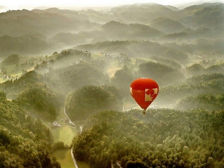 Red Ballon - nature, trees, forest, red ballon, tree