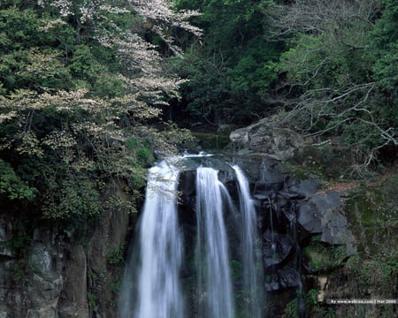 Spring Waterfall - greens, trees, waterfall, blossom, beautiful, spring, black rocks