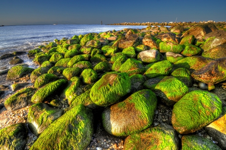 Beach-HDR - nice, ocean, beach, sky, seaweed, photography, water, nature, cool, beautiful, green, hdr, stones, photo, sea, sand