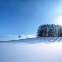 Winter in Japan